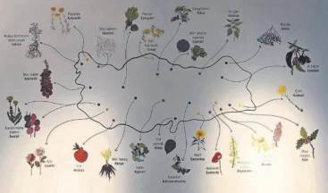 Ne ararsan Anadolu’da var – Cumartesi Sabah Haberleri